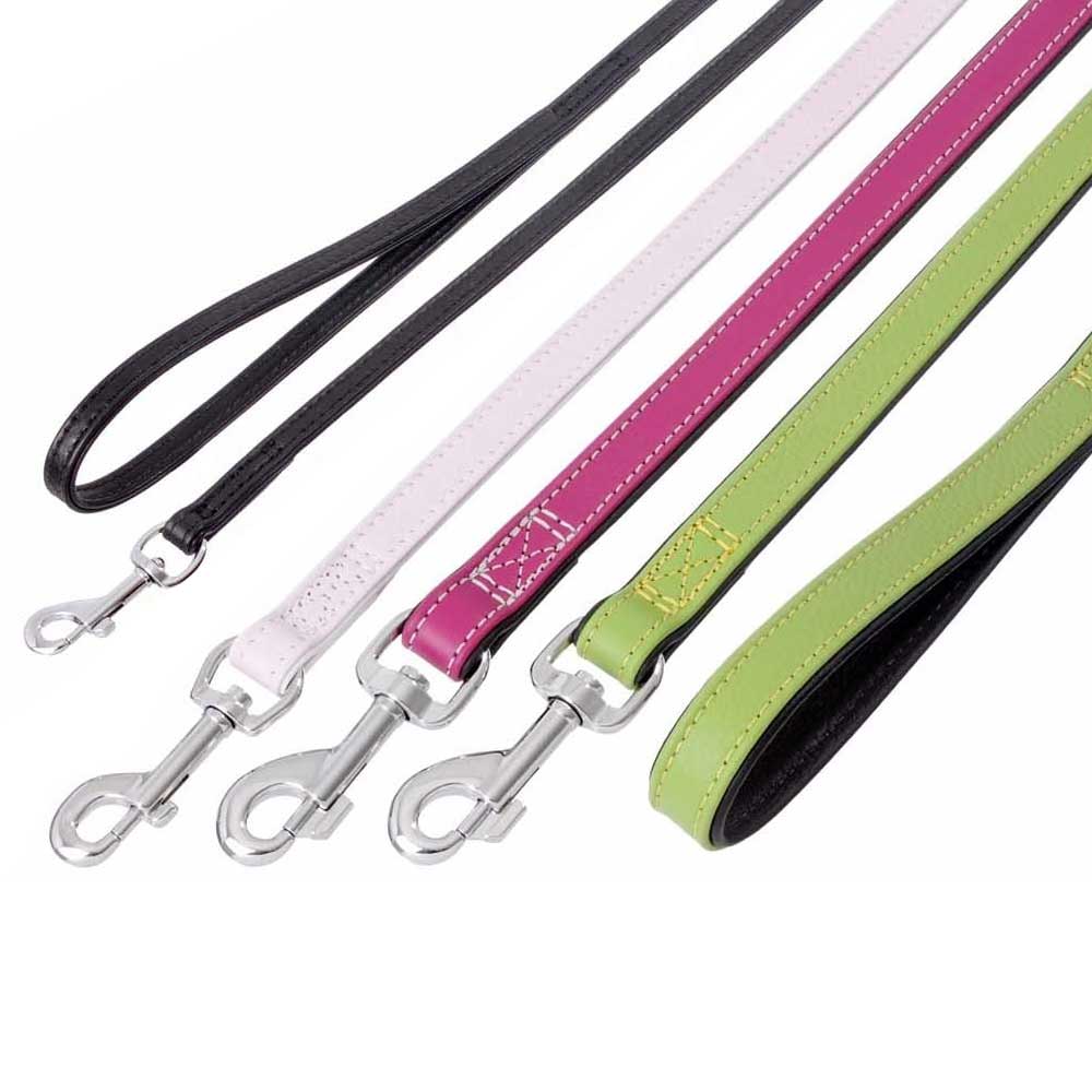 Bild 1 von Karlie VINTAGE Leine  / (Variante) Kiwi / 100cm, 22mm