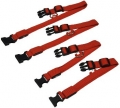 Bild 7 von Hunde-Halsband leuchtend mit LED, rot