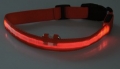 Bild 2 von Hunde-Halsband leuchtend mit LED, rot