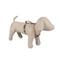 Bild 2 von Duvoplus EXPLOR North Geschirr - Taupe  / (Variante) 40-50cm/15mm