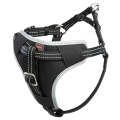 Bild 2 von Trixie Auto-Sicherheitsgeschirr Dog Protect