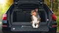 Bild 3 von Hundegitter Roadmaster Deluxe