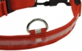 Bild 4 von Hunde-Halsband leuchtend mit LED, rot  / (Größe) 35-43cm, Größe M