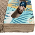 Bild 3 von Trixie Kratzpappe bunt - 38 × 30 cm