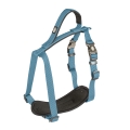 Bild 1 von Duvoplus EXPLOR North Geschirr - Petrolblau  / (Variante) 80-100cm/25mm