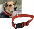 Bild 1 von Hunde-Halsband leuchtend mit LED, rot